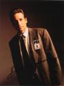 David Duchovny gör ny film med paranormal handling
