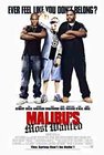Malibu's Most Wanted, Warner Bros.