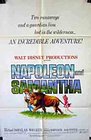 Napoleon and Samantha, Buena Vista Pictures