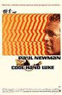 Cool Hand Luke