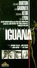 The Night of the Iguana, AB Metro-Goldwyn-Mayer