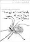 Through a Glass Darkly - Såsom i en spegel