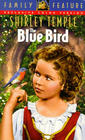 The Blue Bird