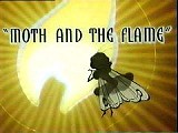 Moth and the Flame