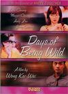 Days of Being Wild - A Fei jing juen