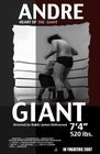 Andre: Heart of the Giant