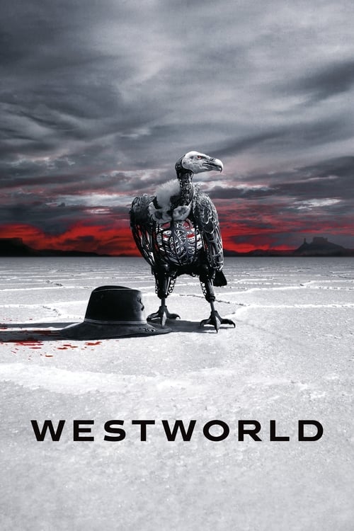 Westworld, Warner Bros. Television