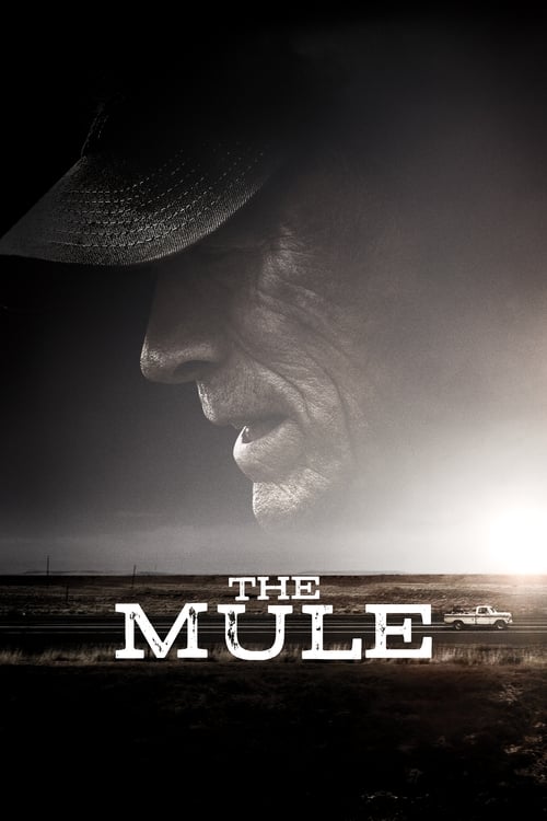 The Mule, Warner Bros. Pictures