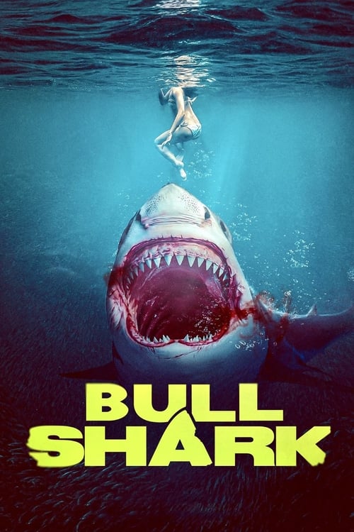 Bull Shark, B22 Films