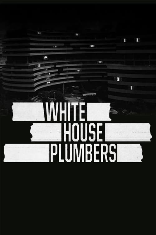 White House Plumbers, The District