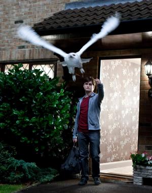 Harry Potter och Dödsrelikerna: Del 1